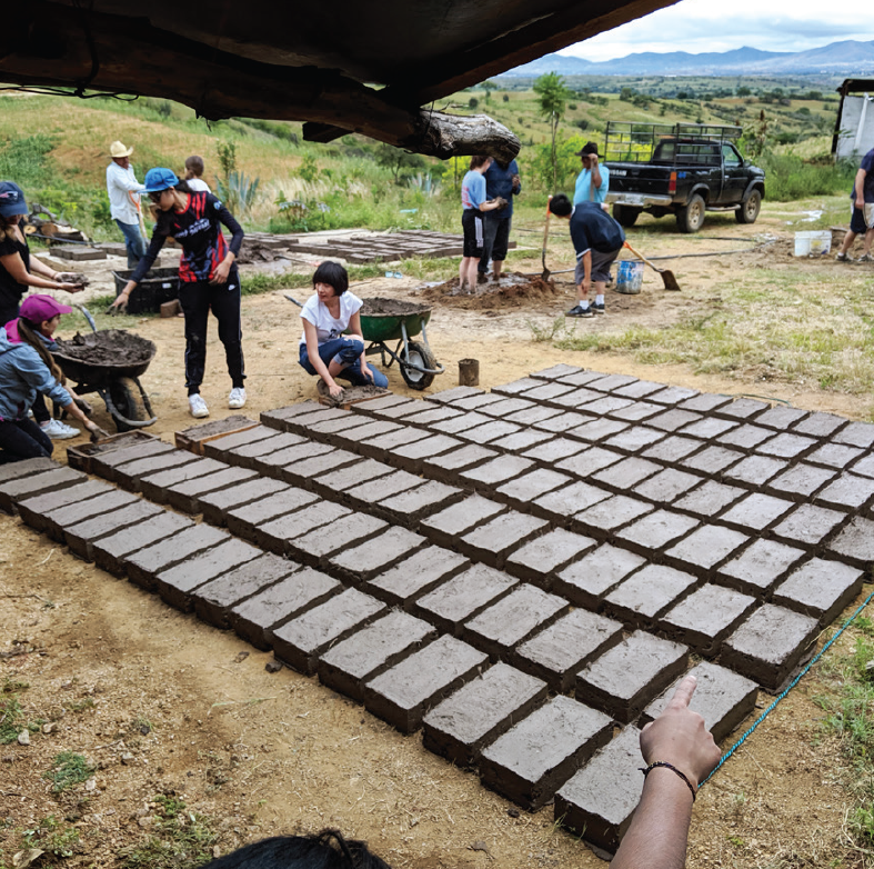 Oásis de mezcal: reforestación, captación de agua y cultivo de agave en los Valles Centrales de Oaxaca