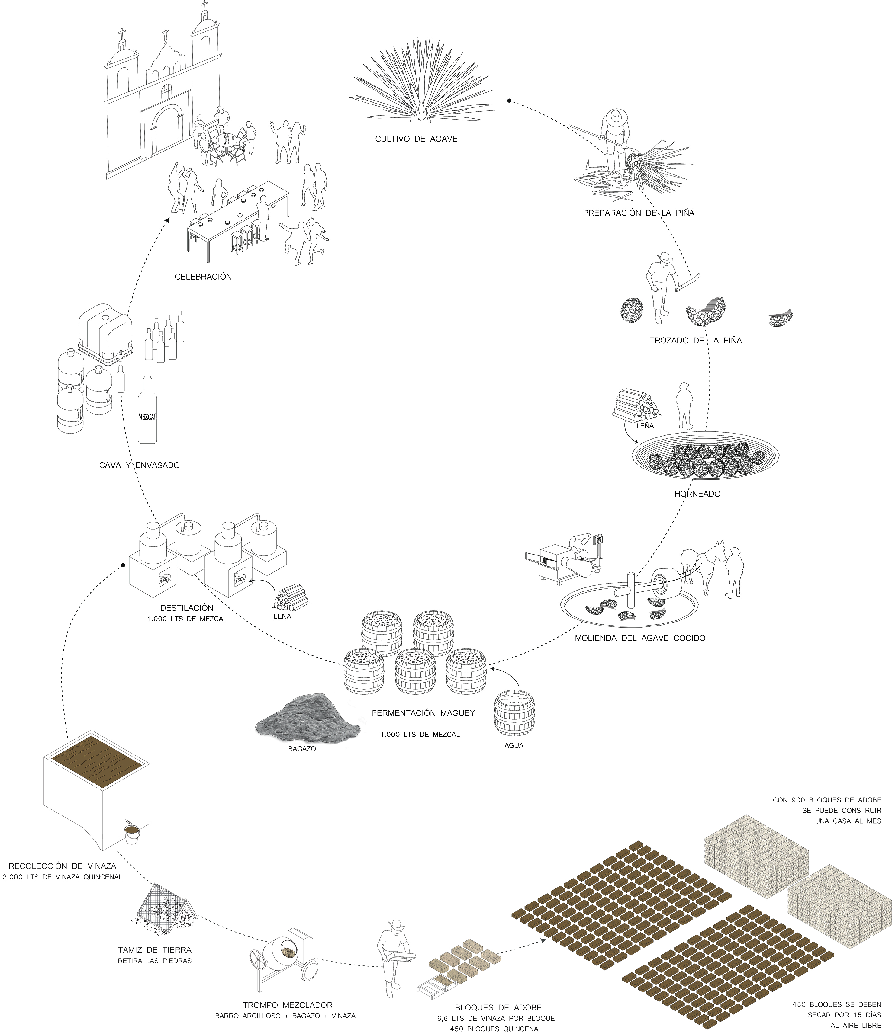 Oasis of mezcal: reforestation, water harvesting and agave cultivation in Oaxaca´s Valles Centrales