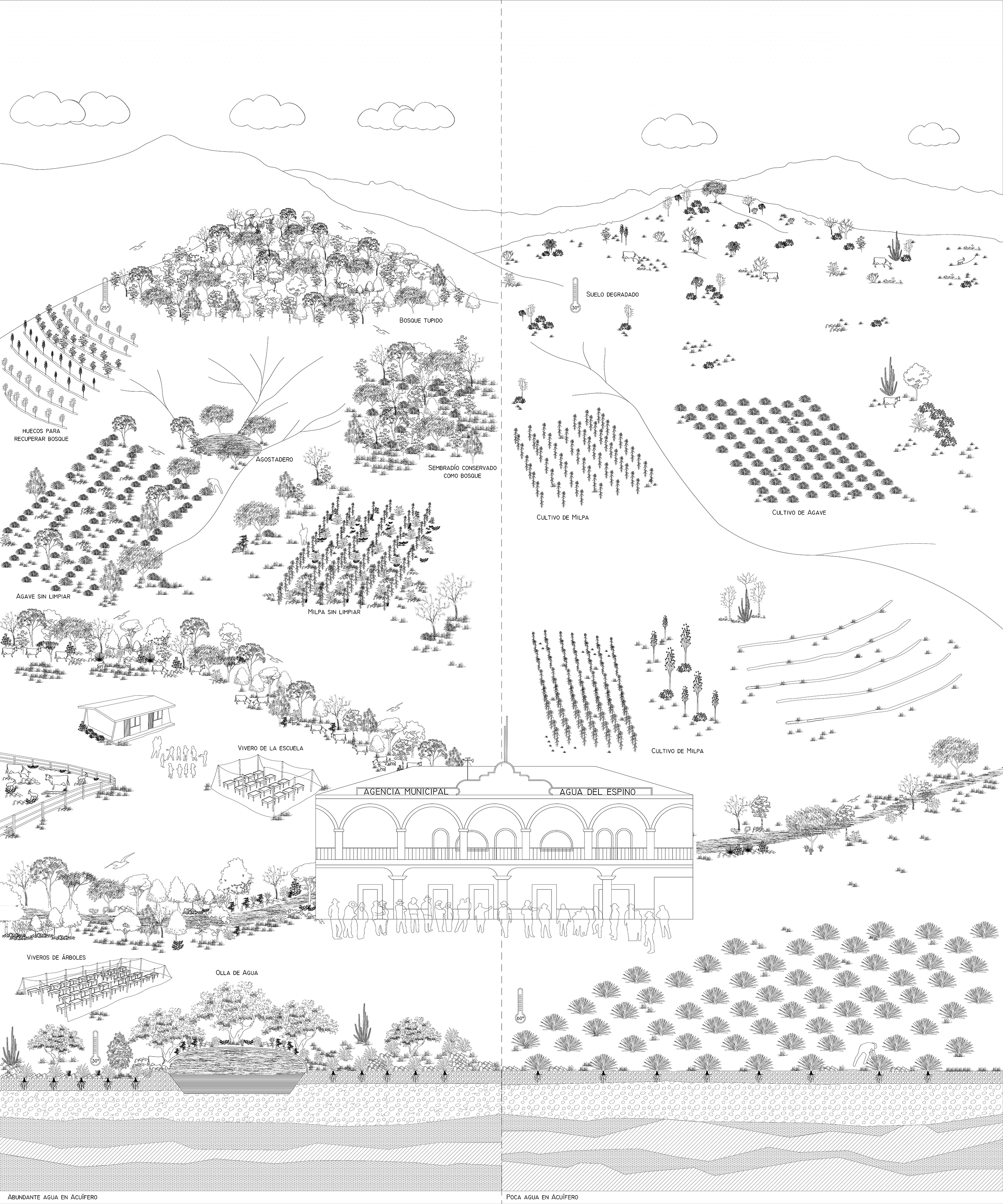 Water harvesting and reforestation in Oaxaca