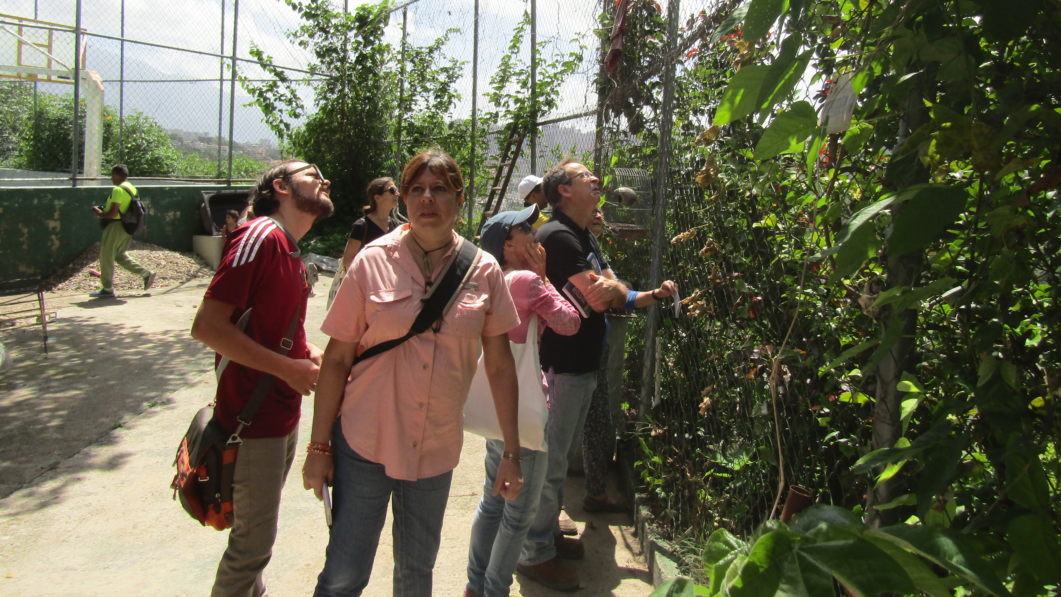 IPC | Sixth Gathering - La Palomera’s Green: Connecting gardens, orchards, nurseries and other experiences of urban vegetation