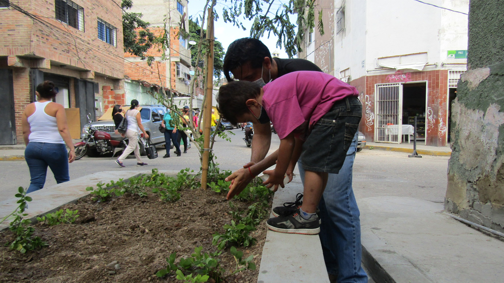 Jardineras de la calle Salom y gestión de desechos sólidos