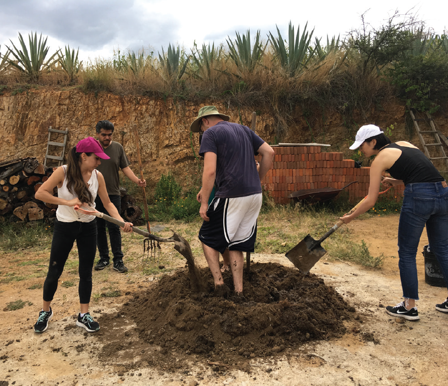 Oasis of mezcal: reforestation, water harvesting and agave cultivation in Oaxaca´s Valles Centrales