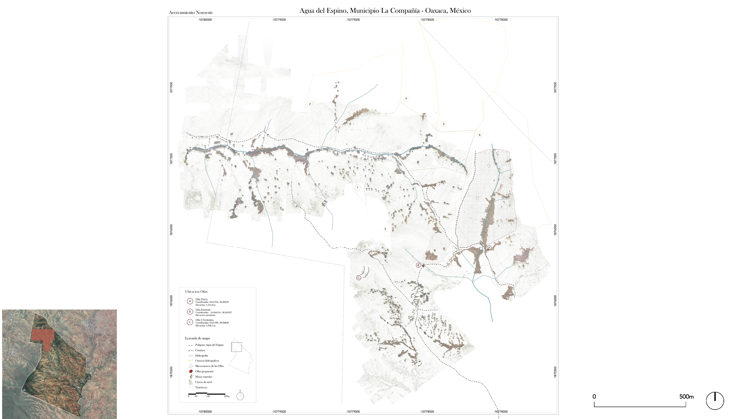Water harvesting and reforestation in Oaxaca