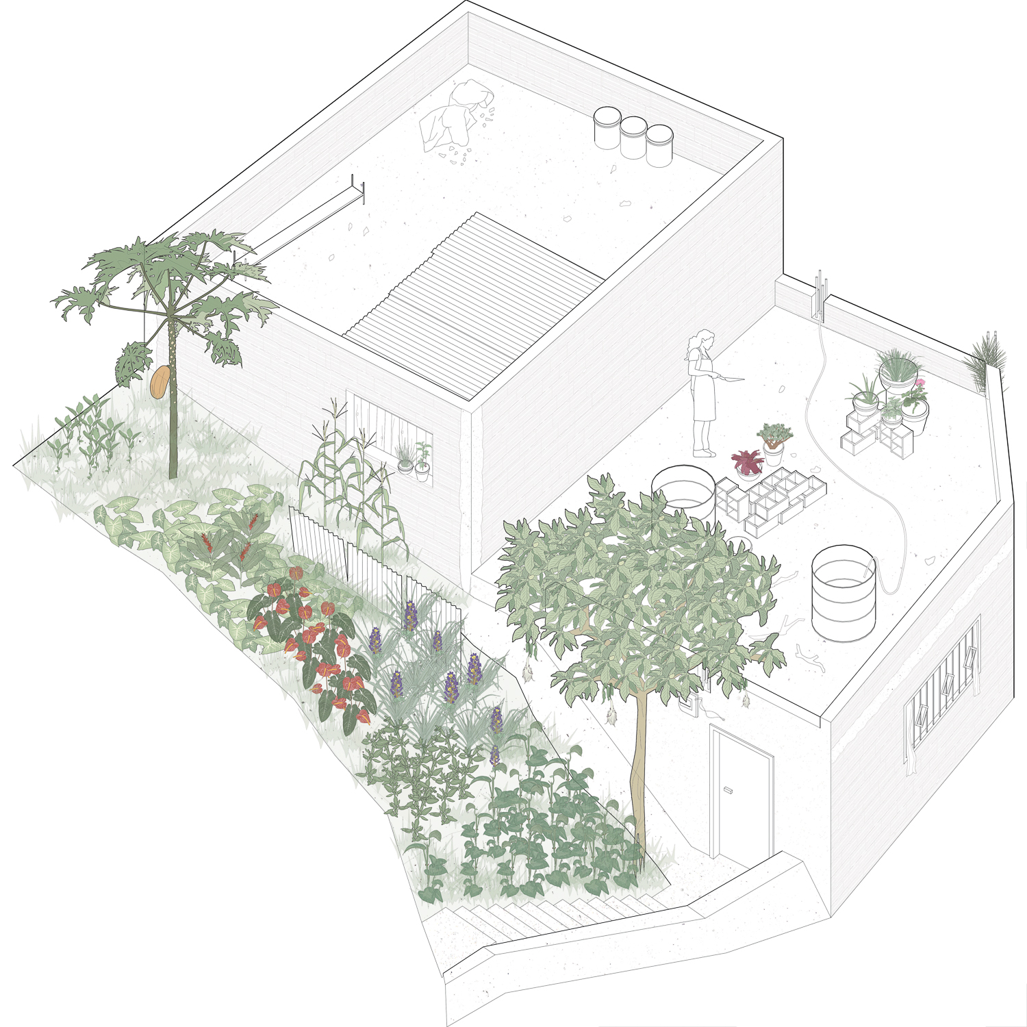 La Palomera: transformación de un barrio autoconstruido
