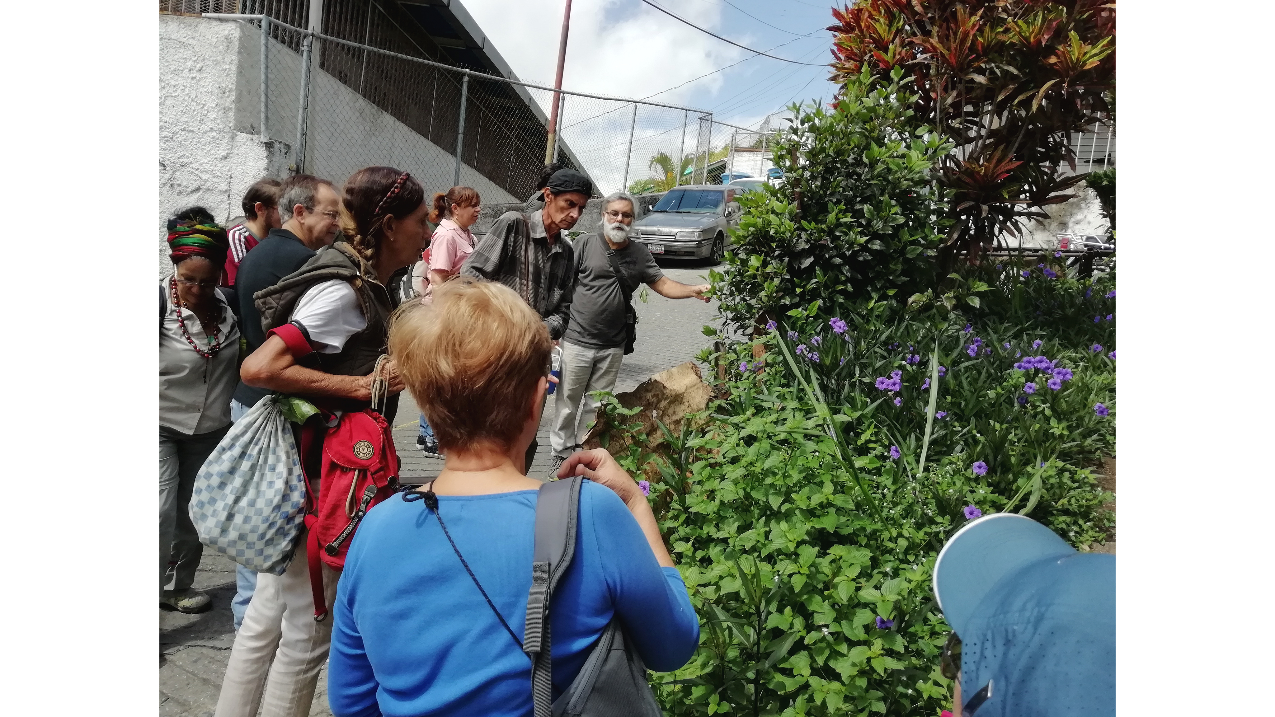 IPC | Sixth Gathering - La Palomera’s Green: Connecting gardens, orchards, nurseries and other experiences of urban vegetation