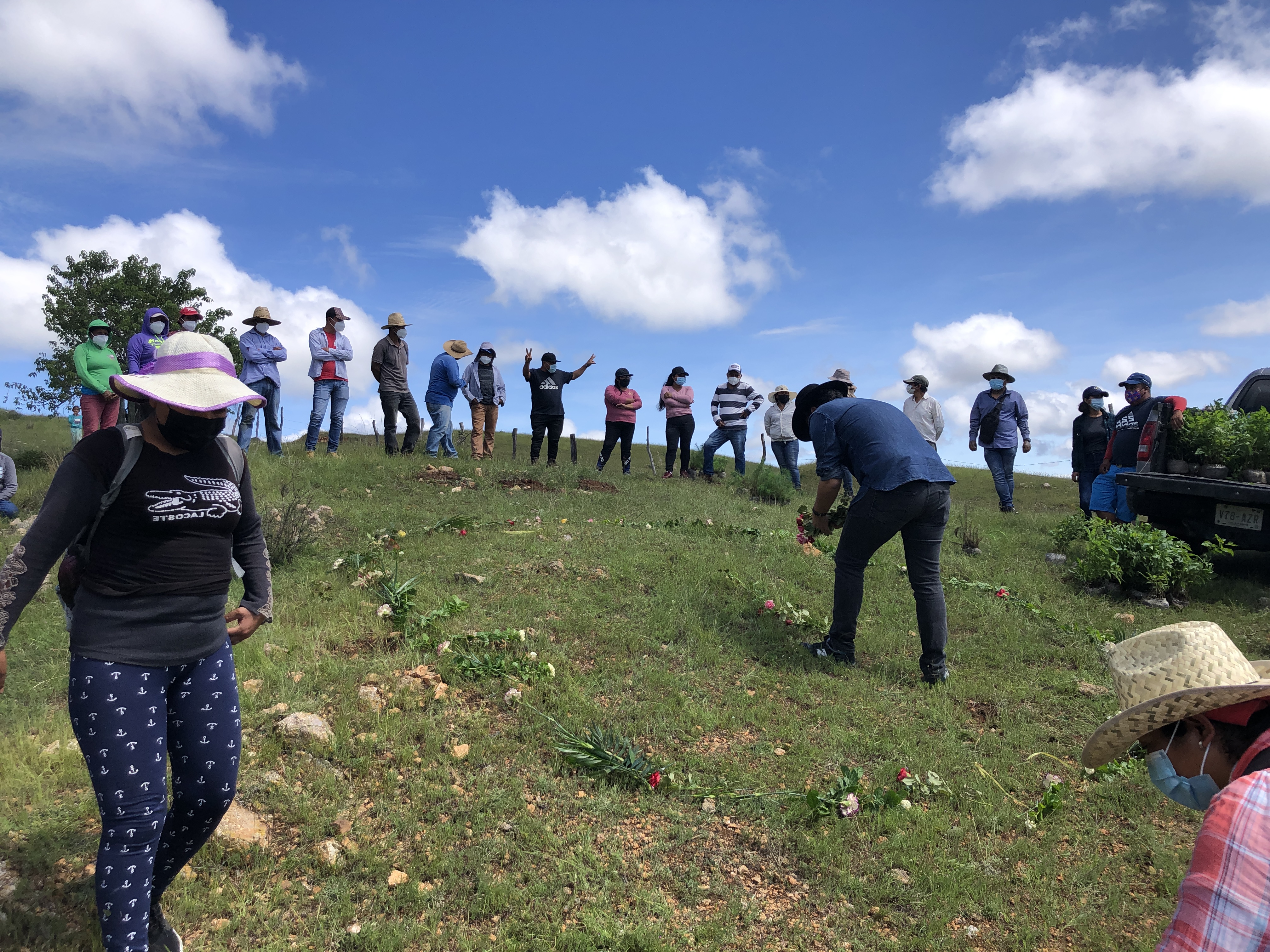 Oasis of mezcal: reforestation, water harvesting and agave cultivation in Oaxaca´s Valles Centrales