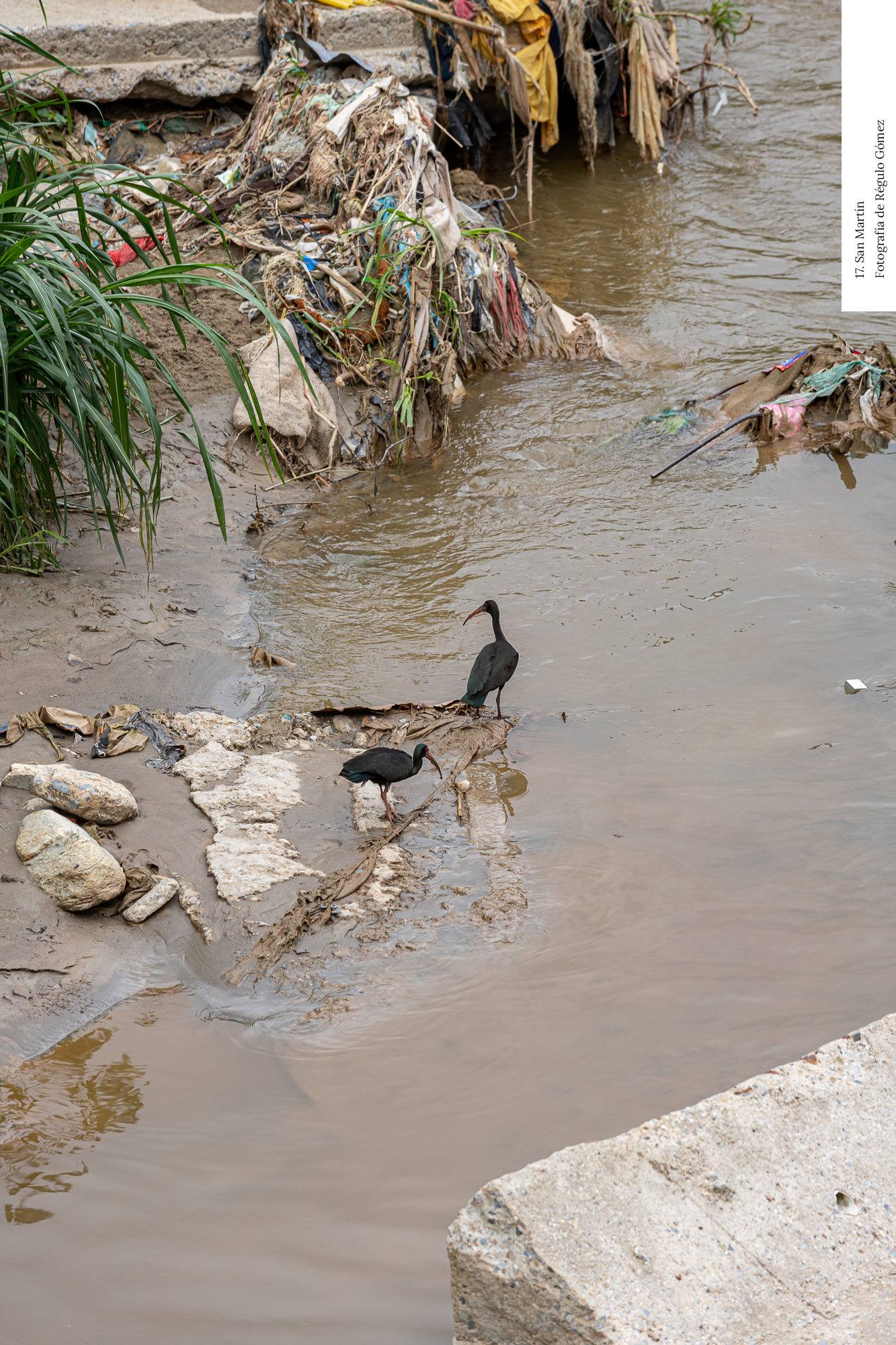 Guaire River: public space and ecology in Caracas