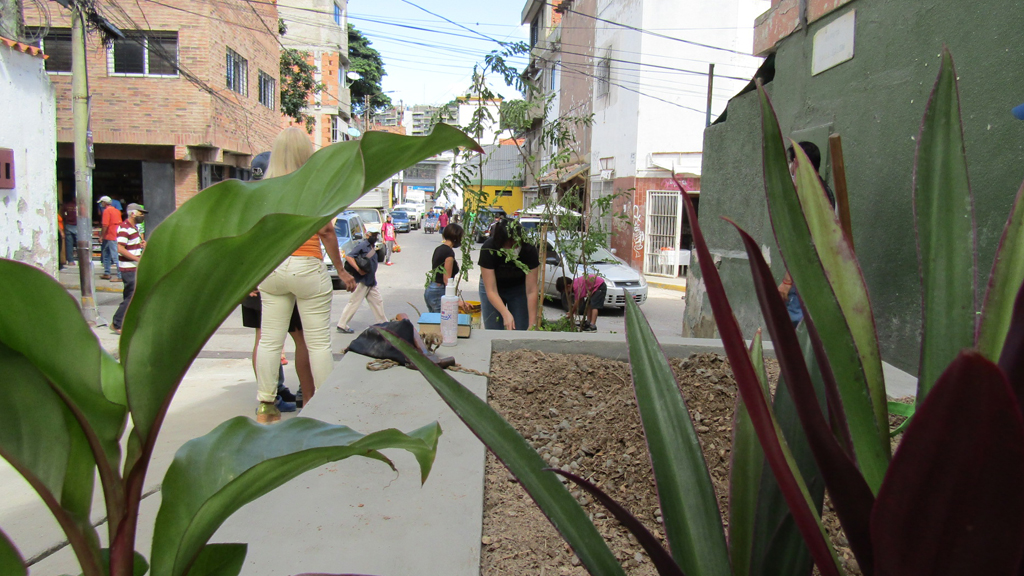 Jardineras de la calle Salom y gestión de desechos sólidos