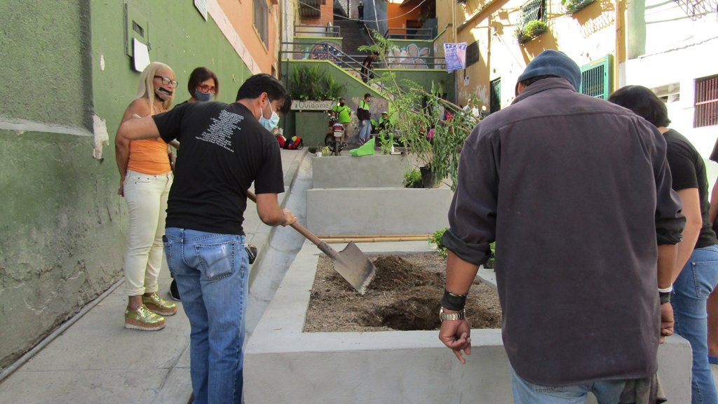 Jardineras de la calle Salom y gestión de desechos sólidos