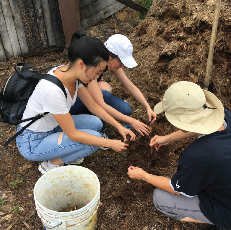 Oásis de mezcal: reforestación, captación de agua y cultivo de agave en los Valles Centrales de Oaxaca