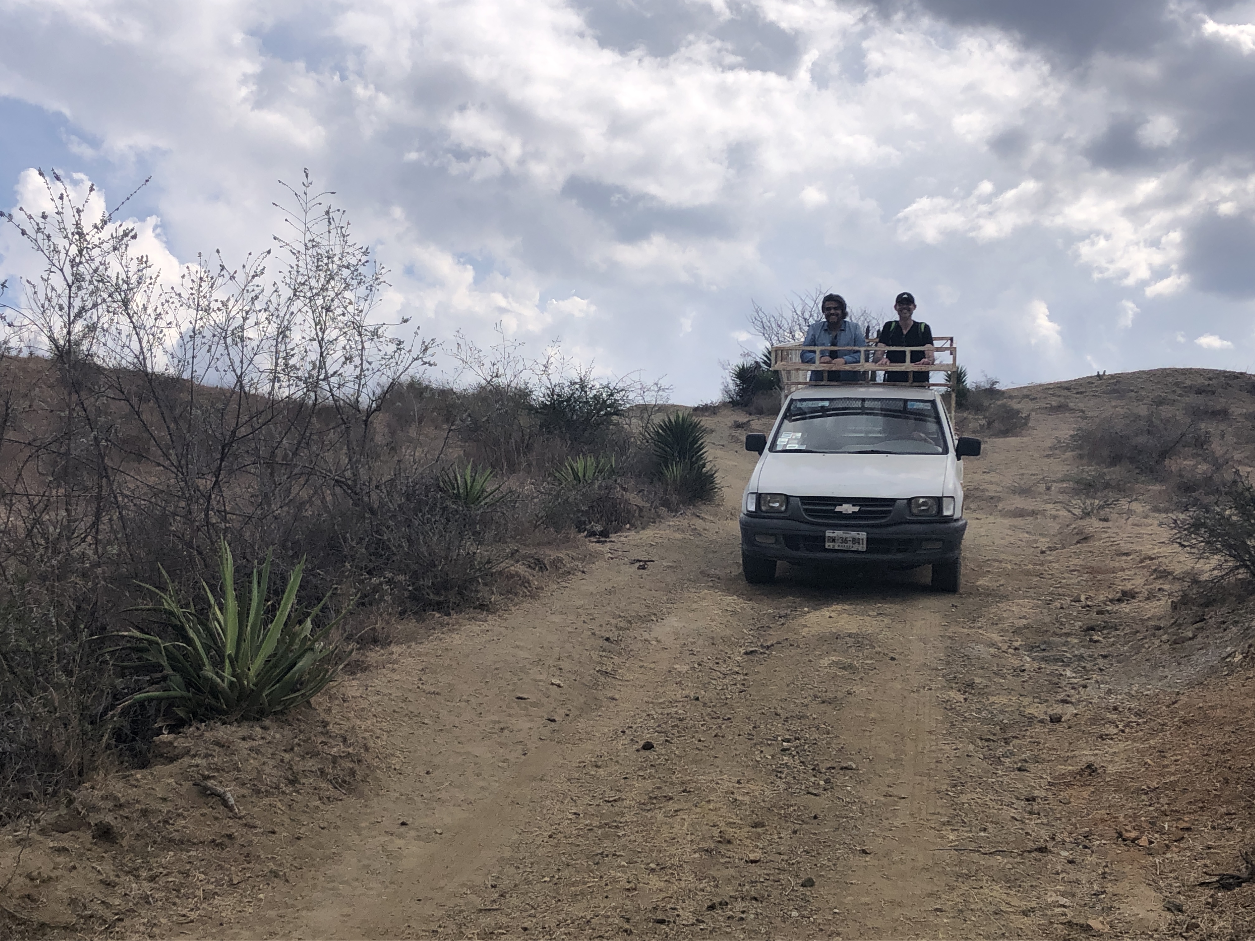 Oasis of mezcal: reforestation, water harvesting and agave cultivation in Oaxaca´s Valles Centrales