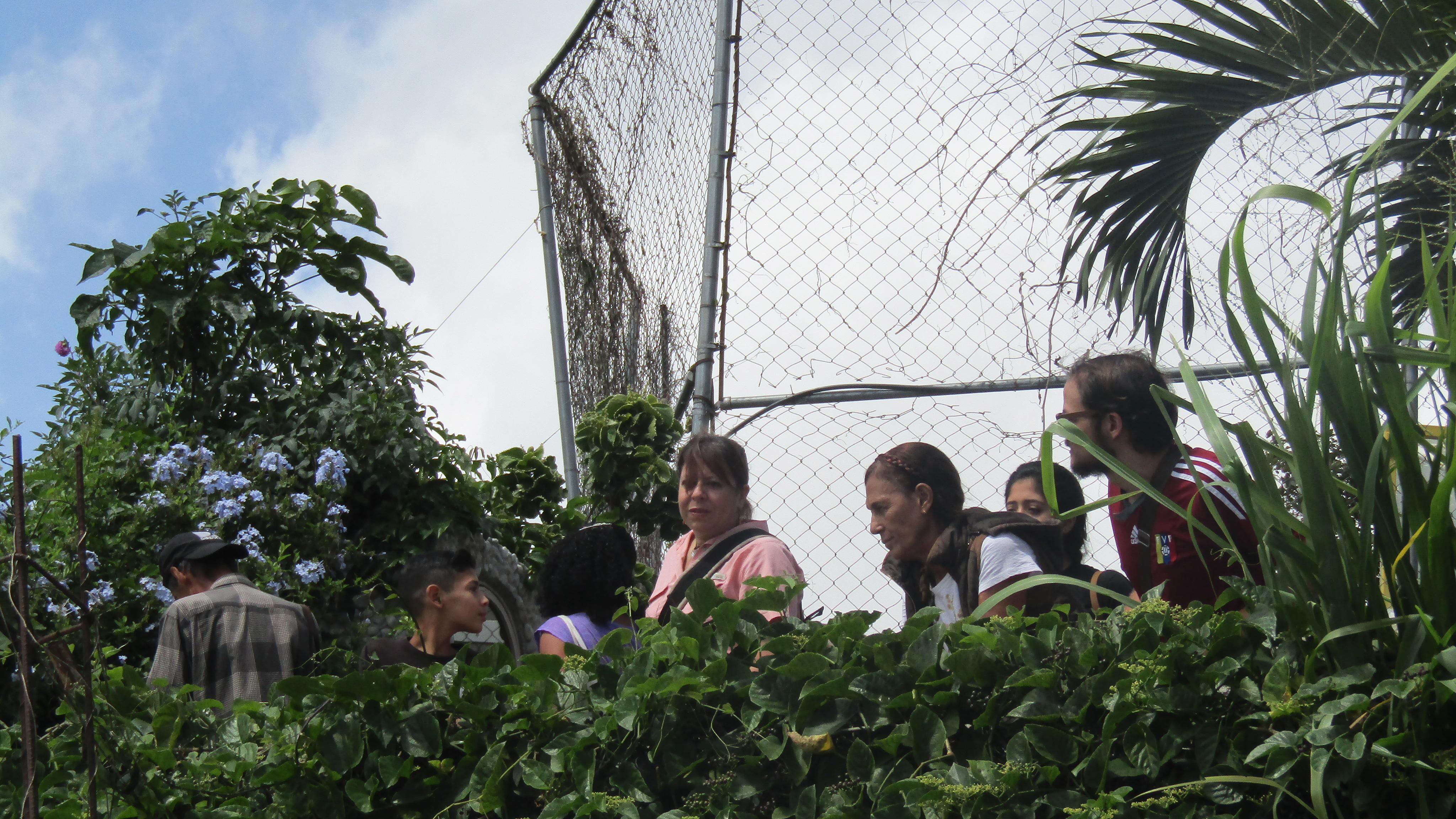 IPC | Sixth Gathering - La Palomera’s Green: Connecting gardens, orchards, nurseries and other experiences of urban vegetation