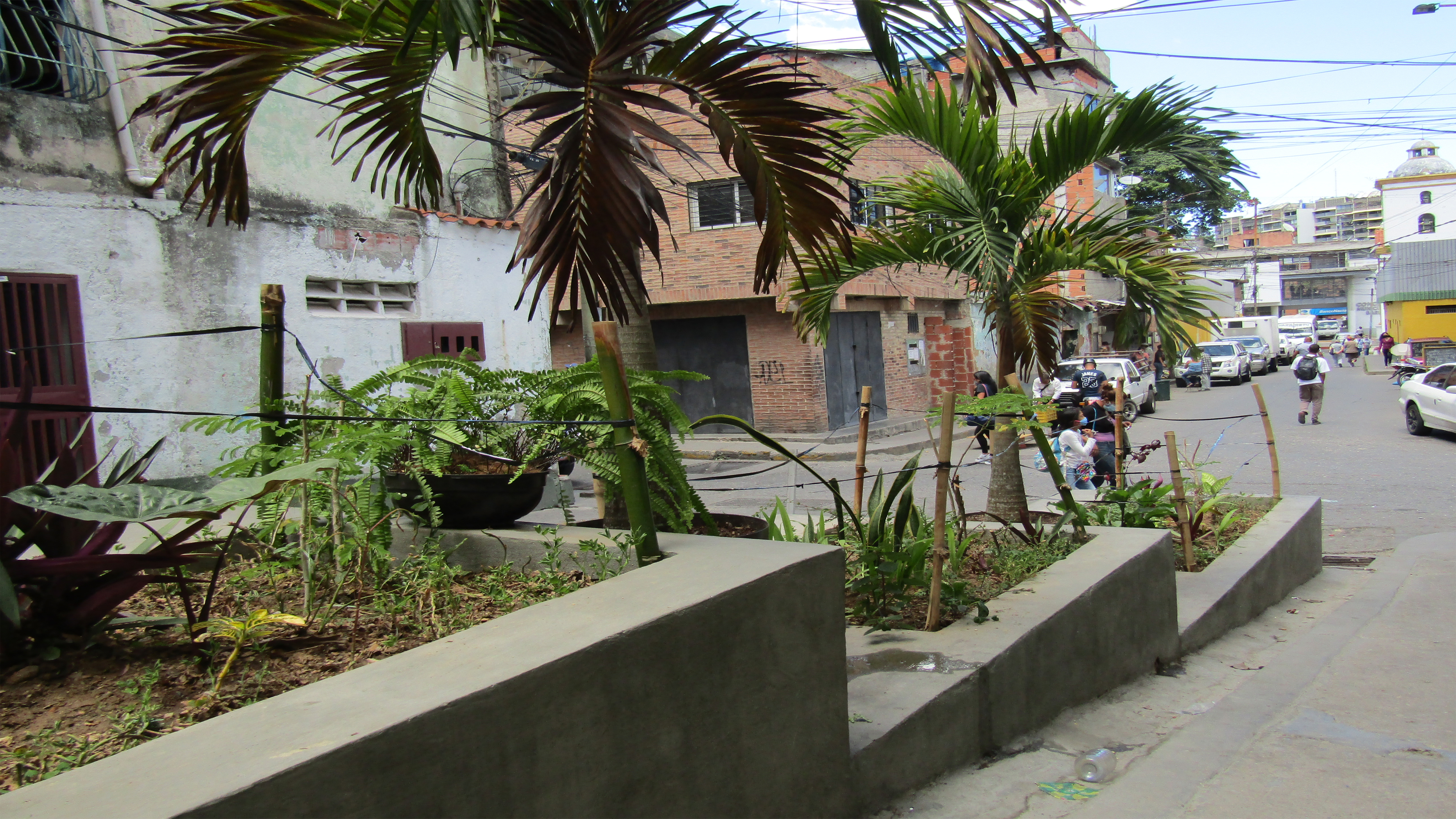 Jardineras de la calle Salom y gestión de desechos sólidos