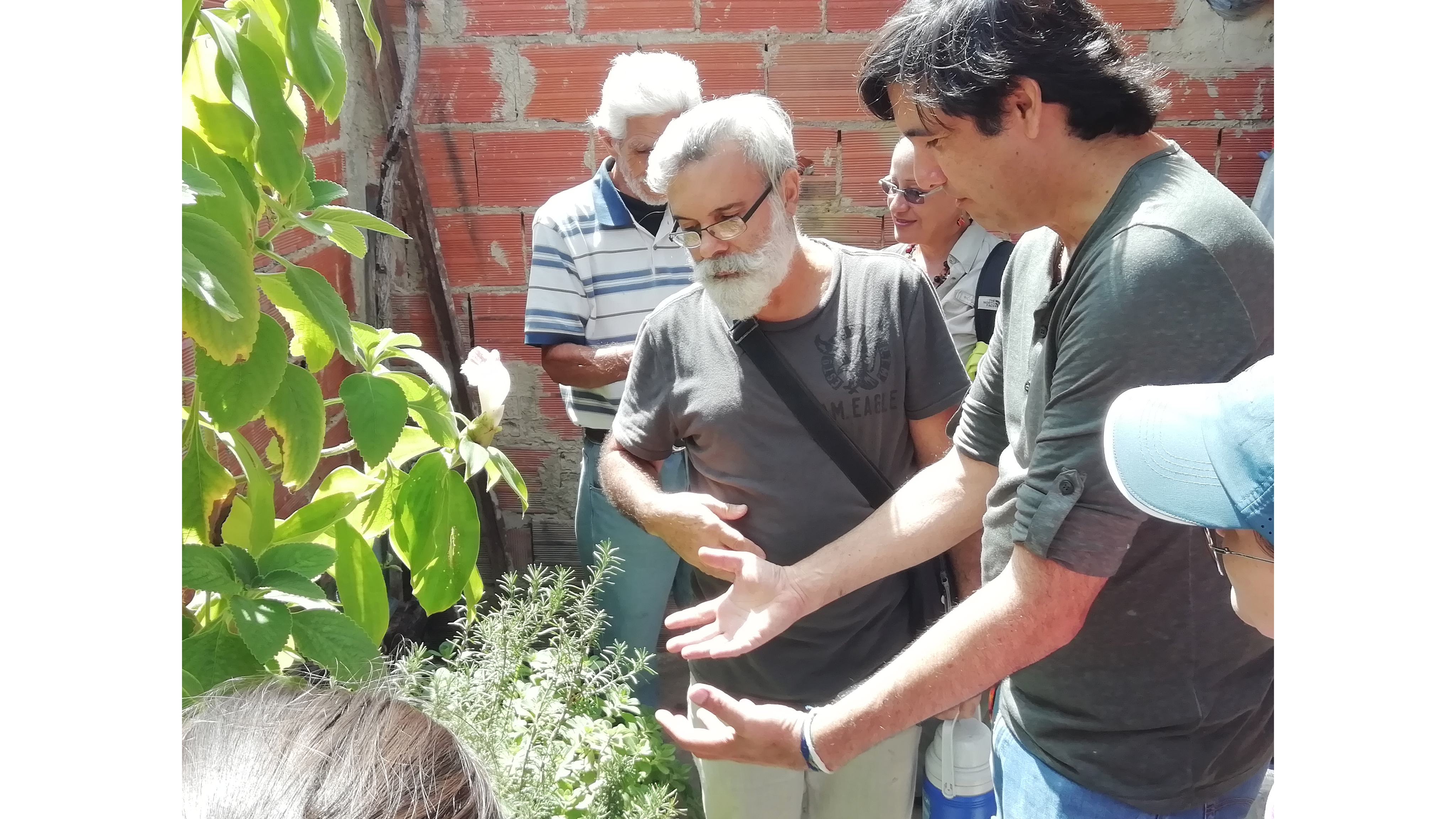 IPC | Sixth Gathering - La Palomera’s Green: Connecting gardens, orchards, nurseries and other experiences of urban vegetation