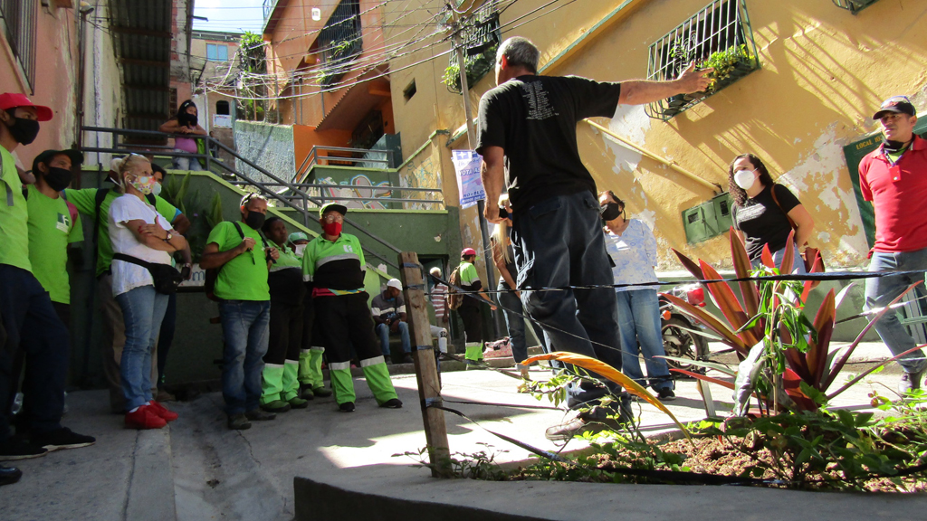 Jardineras de la calle Salom y gestión de desechos sólidos