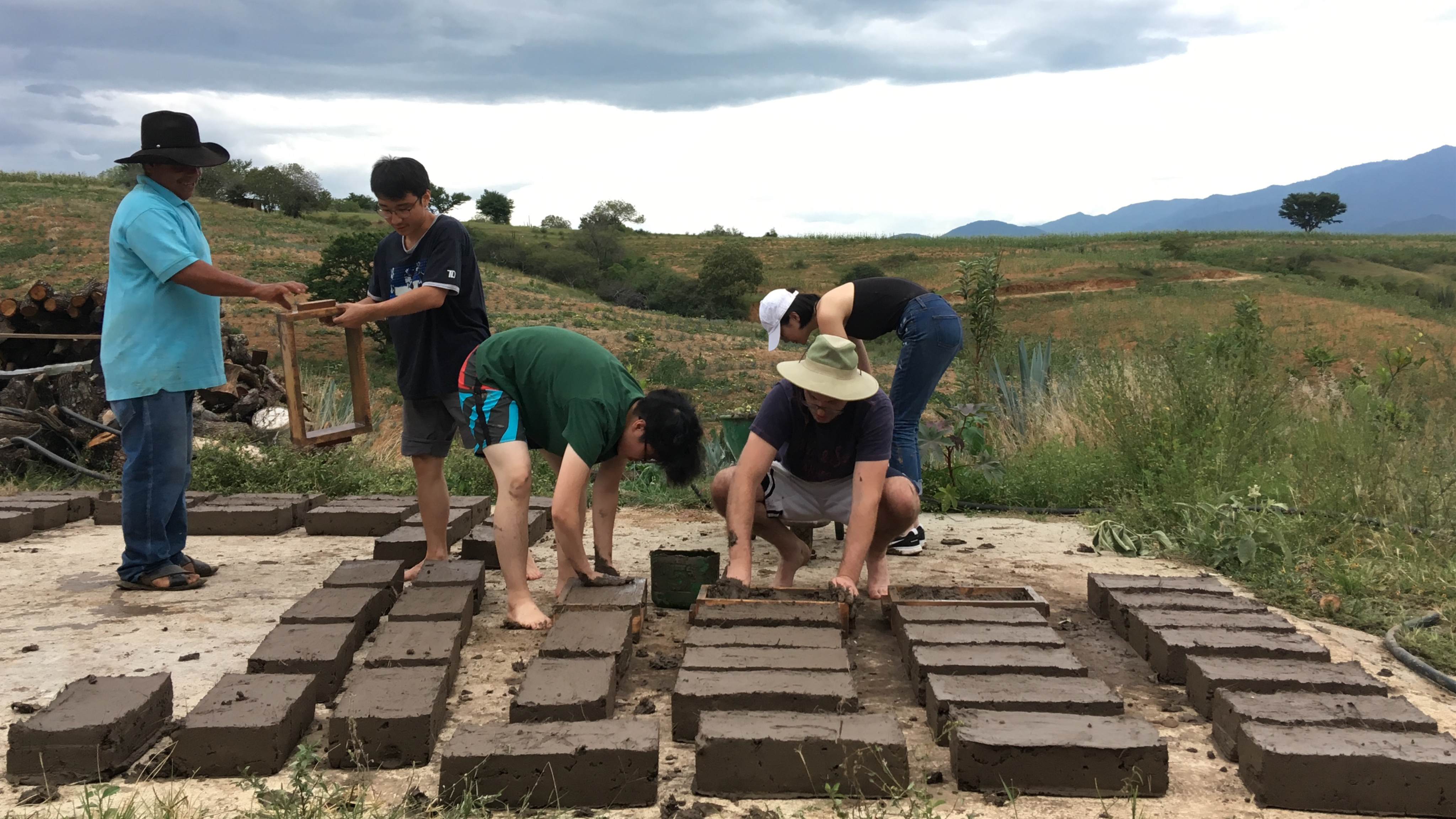 Cosecha de agua y reforestación en Agua del Espino, Oaxaca México