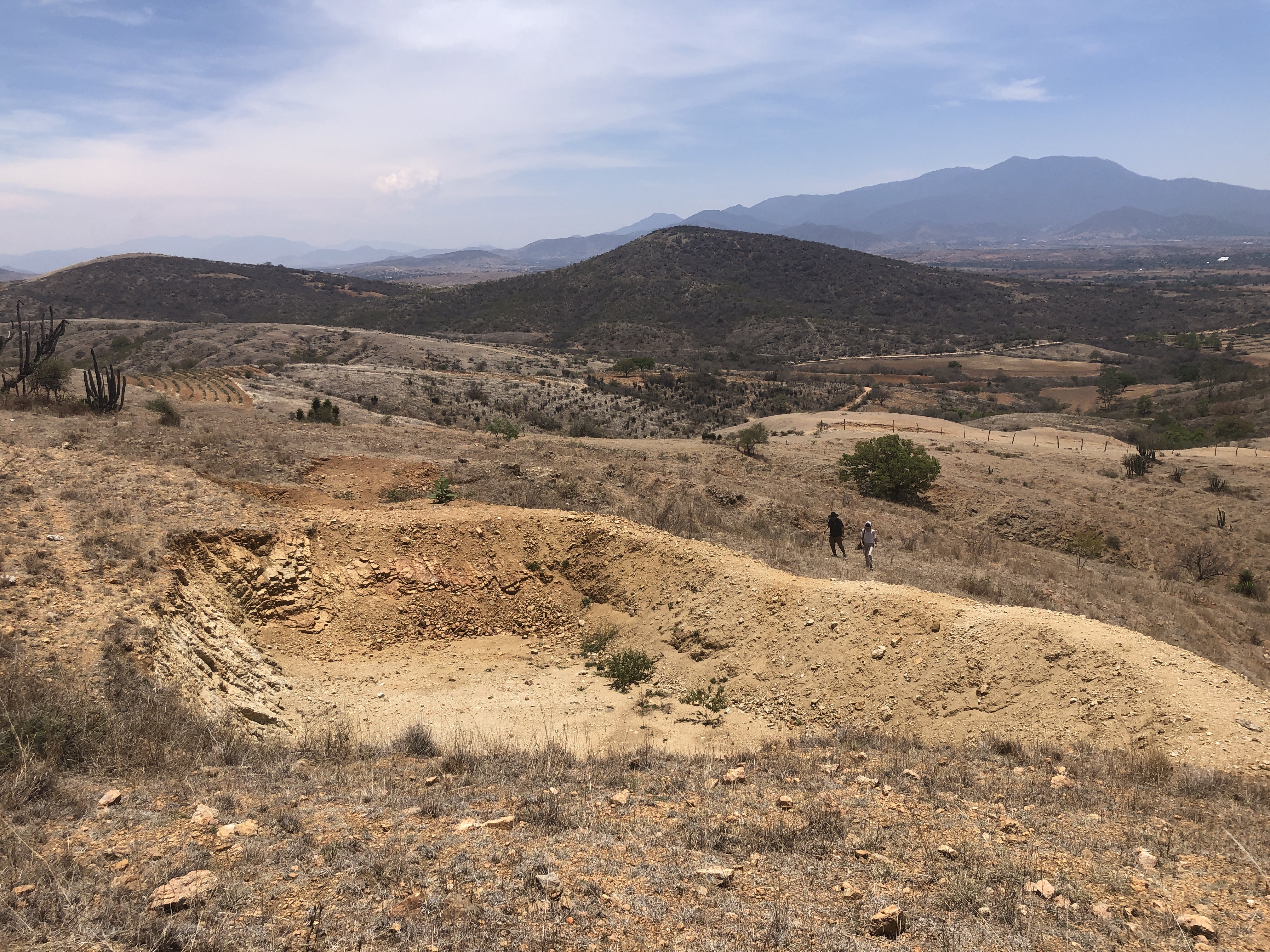 Cosecha de agua y reforestación en Agua del Espino, Oaxaca México