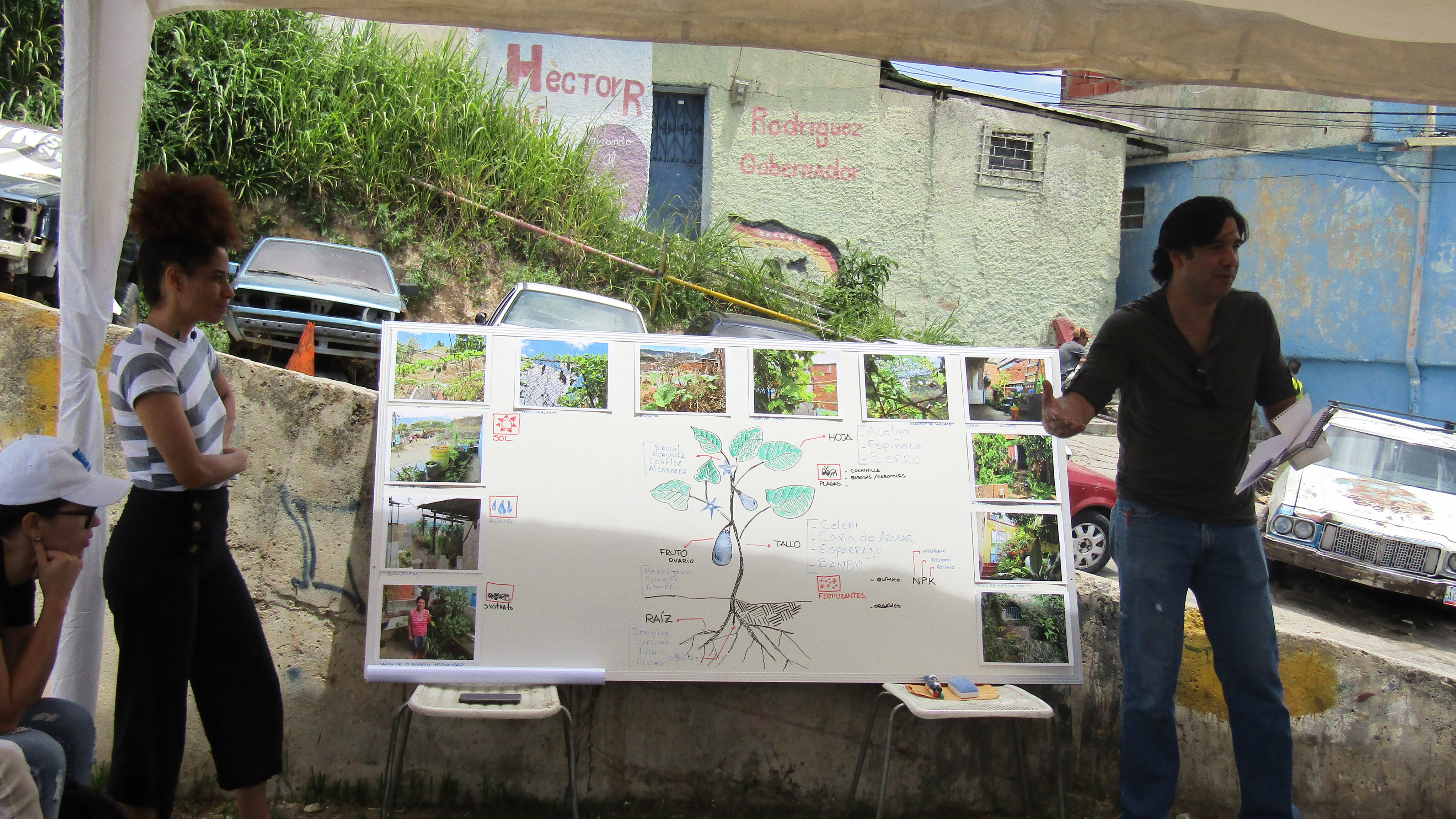 IPC | Sexto encuentro - Encuentro verde La Palomera: Conectando jardines, huertos, viveros y otras experiencias de vegetación urbana