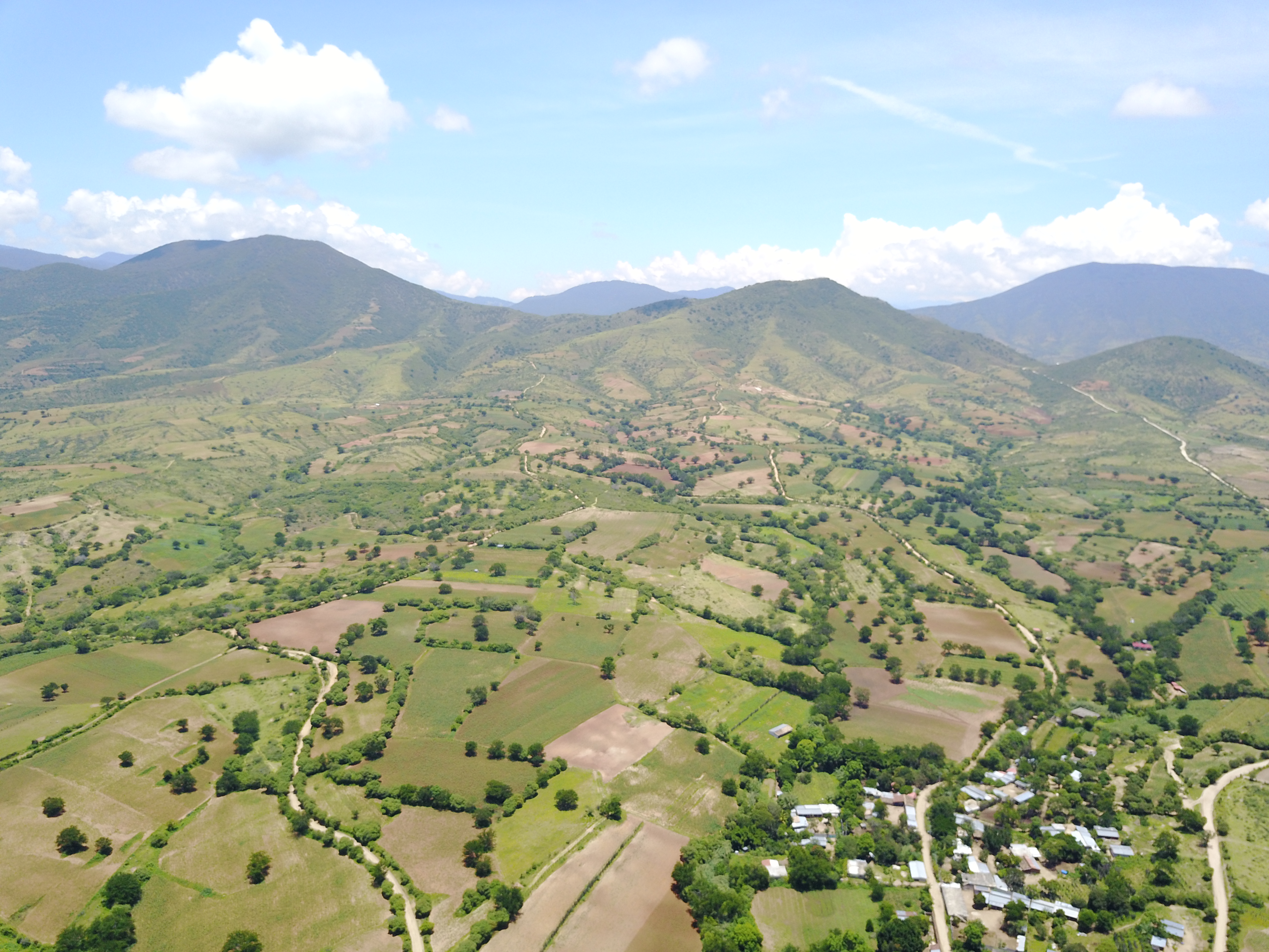 Communal land, culture and production through mezcal producing communities in Oaxaca´s Central Valley