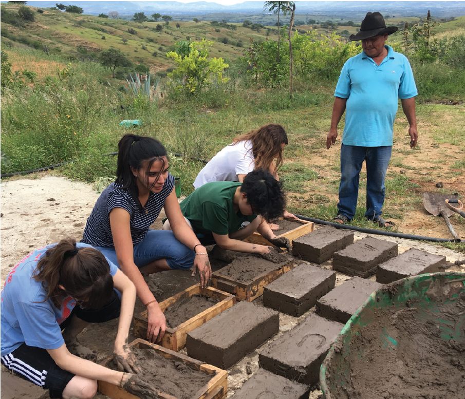 Oásis de mezcal: reforestación, captación de agua y cultivo de agave en los Valles Centrales de Oaxaca