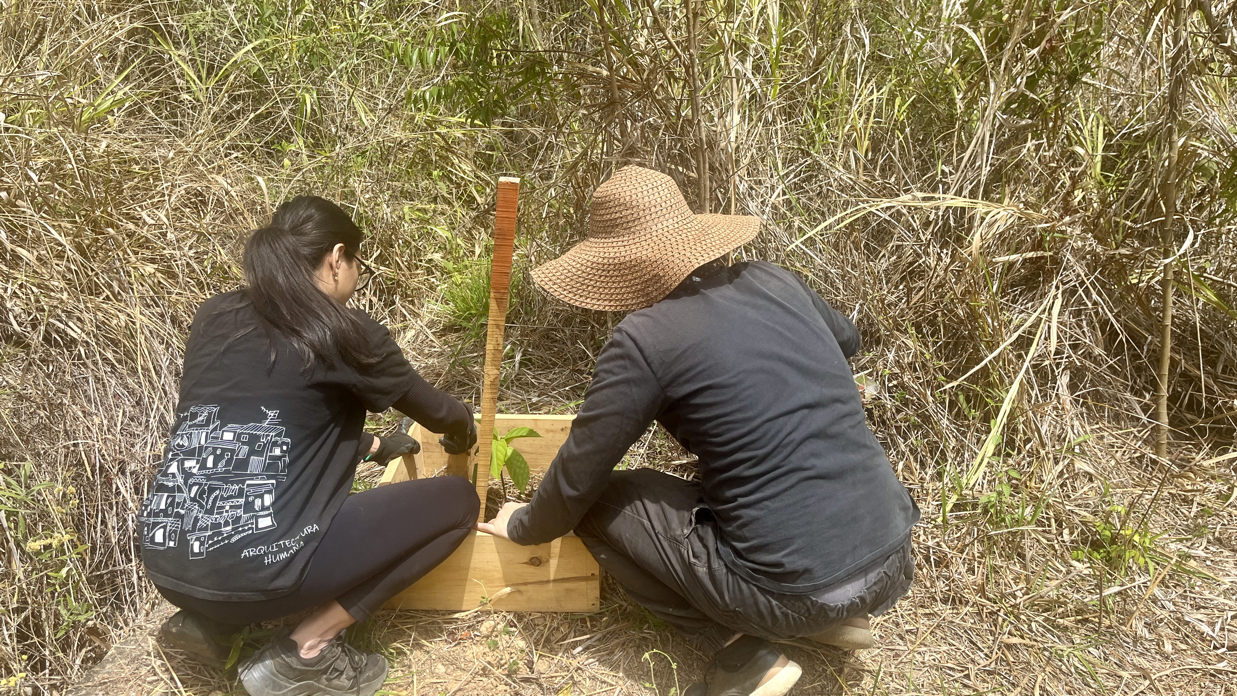 Common Forest La Palomera