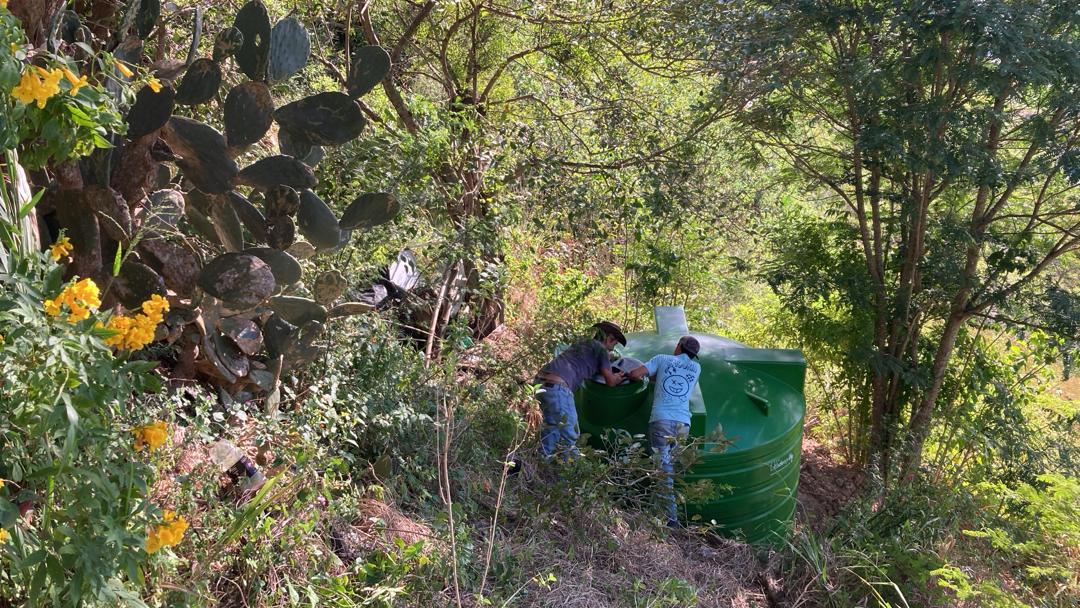 Common Forest La Palomera