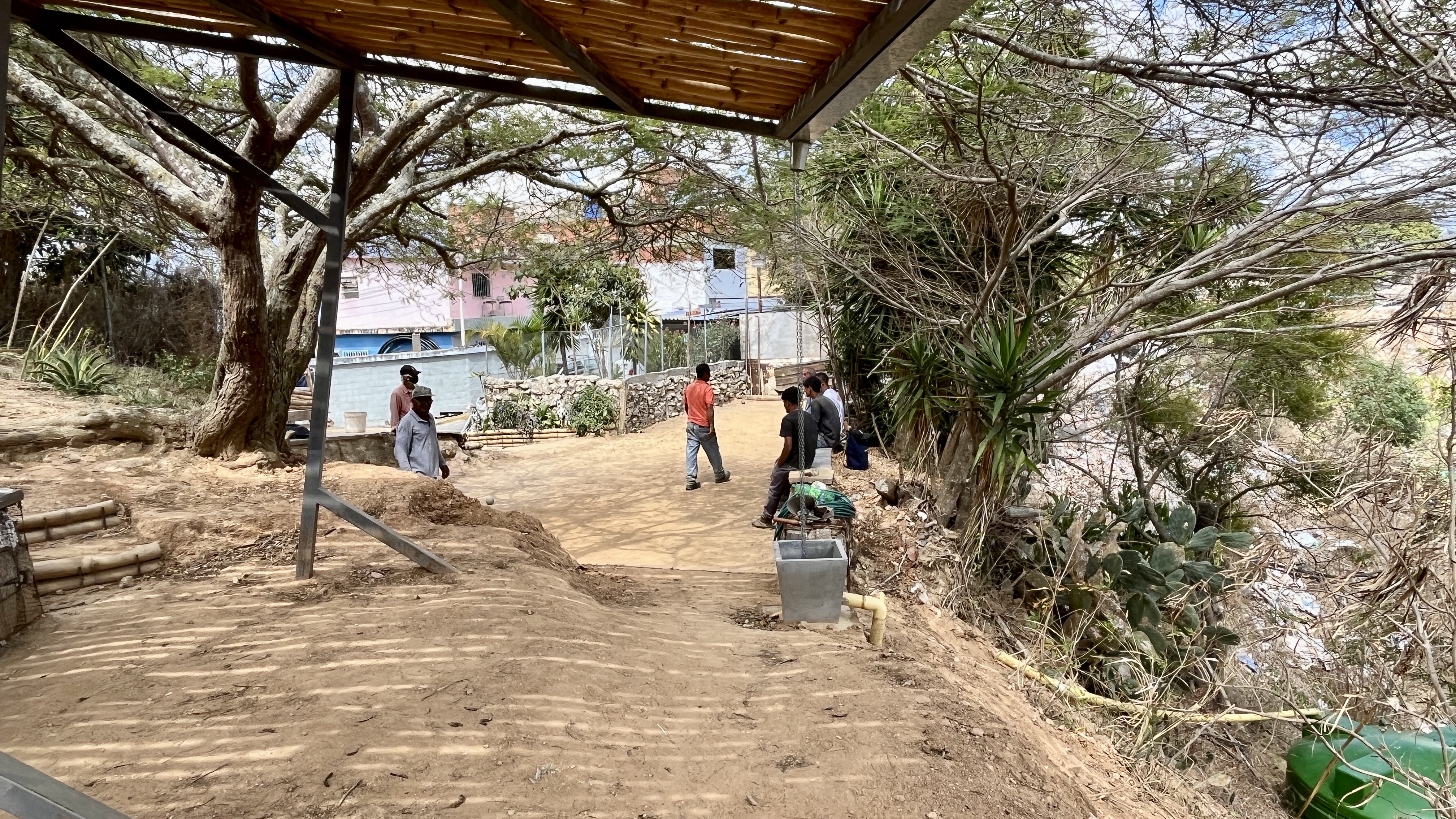 Common Forest La Palomera