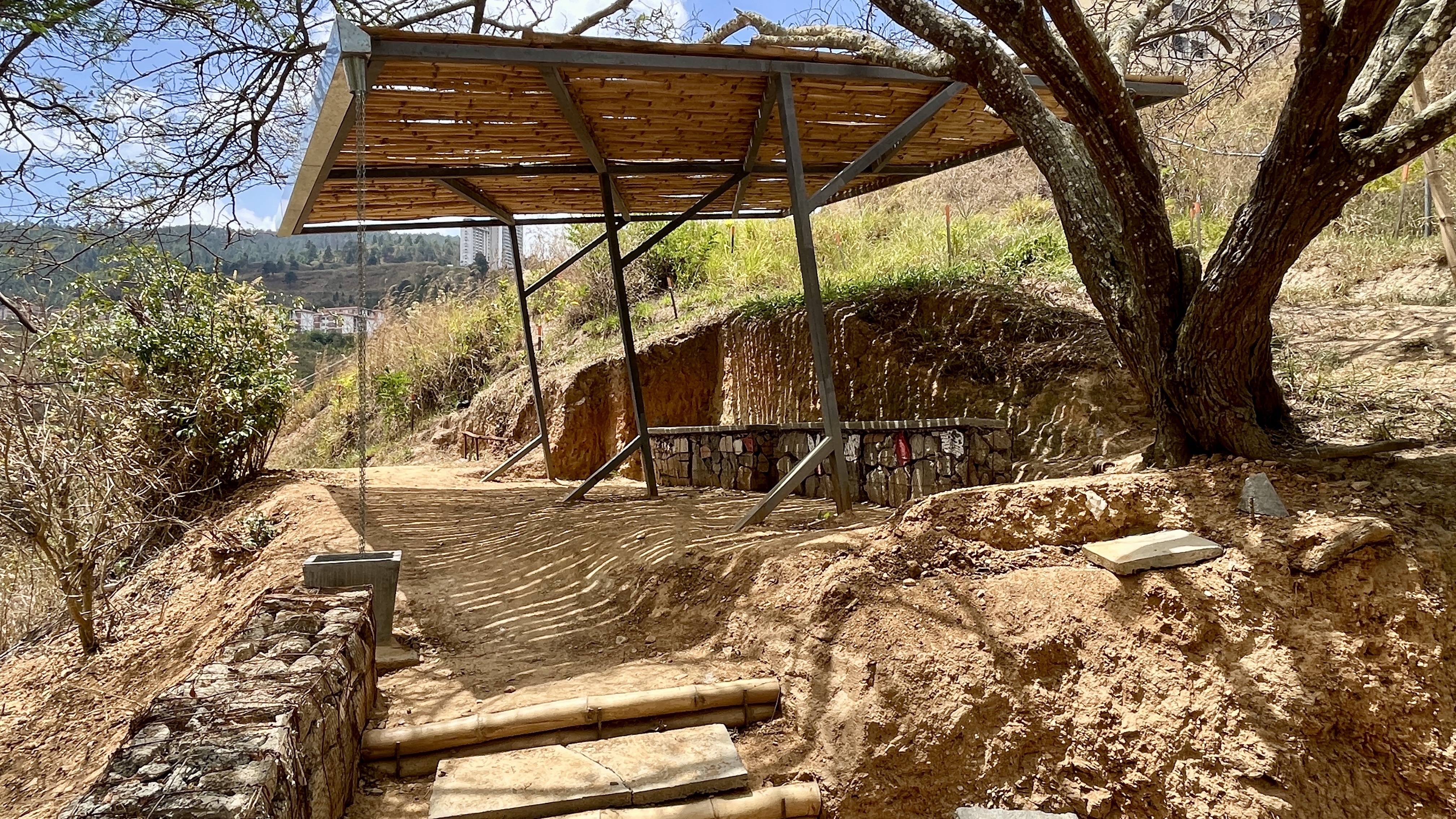 Common Forest La Palomera